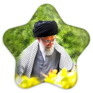 پیکسل ستاره ای تصویر رهبر