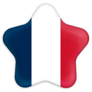 پیکسل ستاره ای پرچم فرانسه