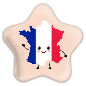 پیکسل ستاره ای پرچم فرانسه