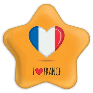 پیکسل ستاره ای پرچم فرانسه