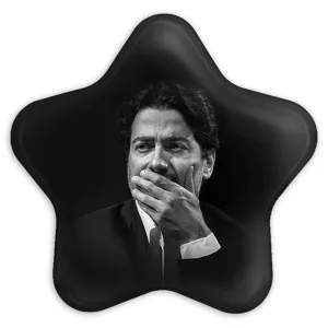 پیکسل ستاره ای همایون شجریان