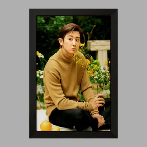 تابلو پارک چانیول گروه اکسو EXO