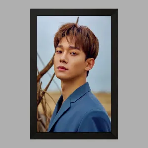 تابلو چن گروه اکسو EXO