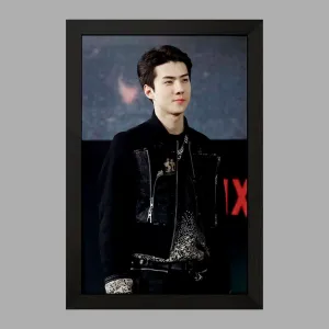 تابلو سهون گروه اکسو EXO