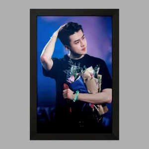 تابلو سهون گروه اکسو EXO
