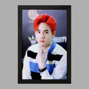 تابلو سوهو گروه اکسو EXO