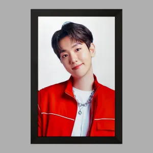 تابلو بکهیون گروه اکسو EXO