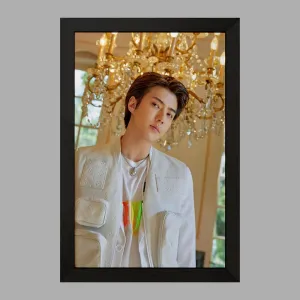 تابلو سهون گروه اکسو EXO