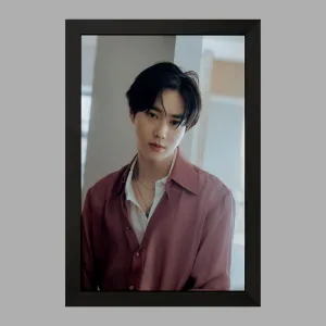 تابلو سوهو گروه اکسو EXO