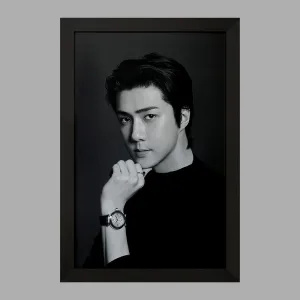 تابلو سهون گروه اکسو EXO