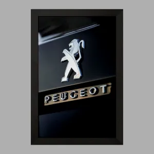 تابلو پژو Peugeot