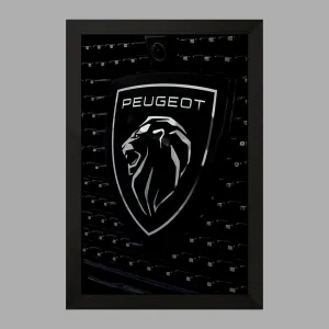 تابلو پژو Peugeot