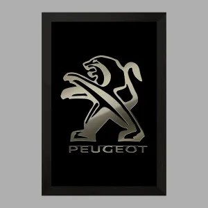 تابلو پژو Peugeot
