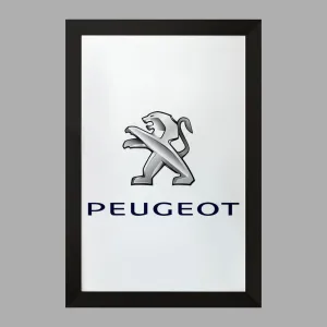 تابلو پژو Peugeot