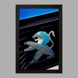 تابلو پژو Peugeot