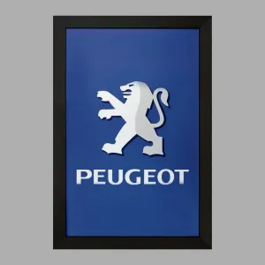 تابلو پژو Peugeot