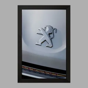 تابلو پژو Peugeot