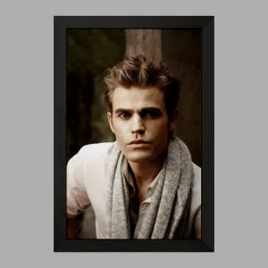 تابلو استفان سالواتوره خاطرات یک خون آشام  The Vampire Diaries