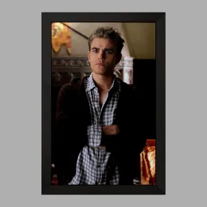 تابلو استفان سالواتوره خاطرات یک خون آشام  The Vampire Diaries