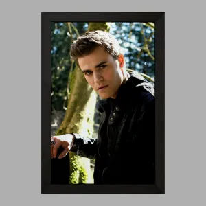 تابلو استفان سالواتوره خاطرات یک خون آشام  The Vampire Diaries
