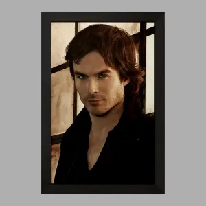 تابلو دیمون سالواتوره خاطرات یک خون آشام  The Vampire Diaries