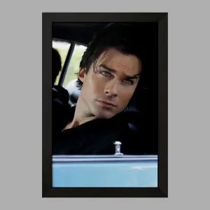 تابلو دیمون سالواتوره خاطرات یک خون آشام  The Vampire Diaries