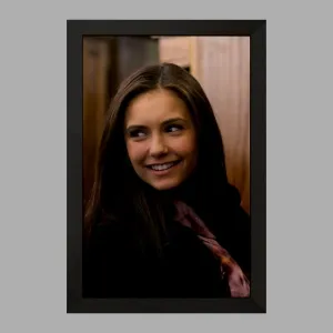 تابلو الینا گیلبرت خاطرات یک خون آشام  The Vampire Diaries