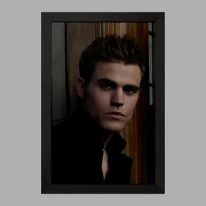 تابلو استفان سالواتوره خاطرات یک خون آشام  The Vampire Diaries