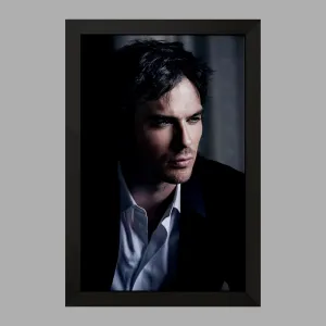 تابلو دیمون سالواتوره خاطرات یک خون آشام  The Vampire Diaries