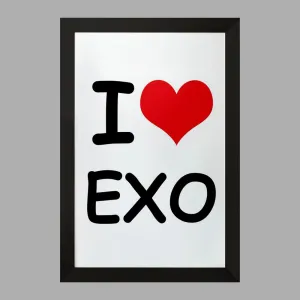 تابلو گروه موسیقی اکسو EXO
