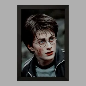 تابلو هری پاتر Harry Potter