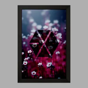 تابلو گروه موسیقی اکسو EXO