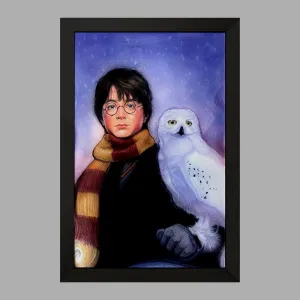 تابلو هری پاتر Harry Potter