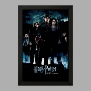 تابلو هری پاتر Harry Potter