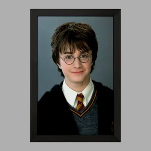 تابلو هری پاتر Harry Potter