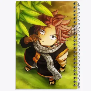 دفتر ناتسو انیمه فری تیل Fairy Tail