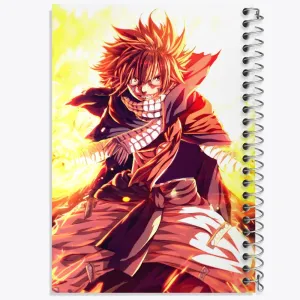 دفتر ناتسو انیمه فری تیل Fairy Tail