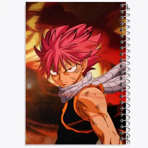دفتر ناتسو انیمه فری تیل Fairy Tail