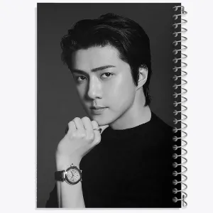 دفتر سهون گروه اکسو EXO