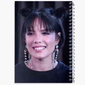 دفتر هالزی Halsey