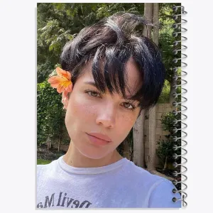 دفتر هالزی Halsey