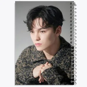 دفتر ورنون گروه سونتین Seventeen