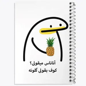 دفتر آناناس میقولی؟