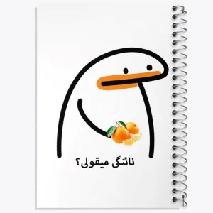 دفتر نائنگی میقولی؟