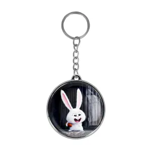 جاکلیدی دوطرفه زندگی پنهان حیوانات خانگی The Secret Life of Pets