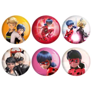 مگنت دختر کفشدوزکی (Ladybug girl)