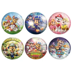 مگنت سگ های نگهبان (Paw Patrol)