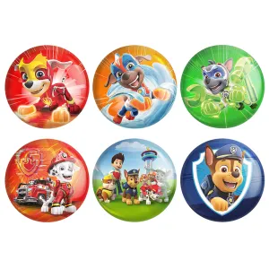 مگنت سگ های نگهبان (PAW Patrol)