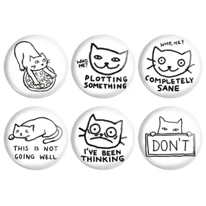 مگنت گربه (Cat)