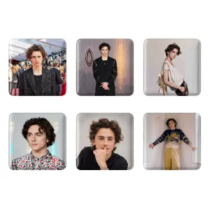 پیکسل مربعی تیموتی شالامی (Timothee chalamet)